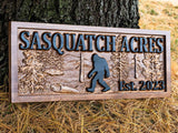 Sasquatch, Bigfoot, Yeti